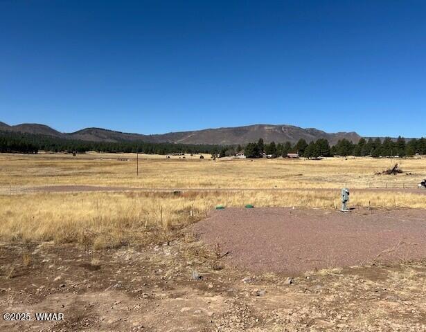 6 County Road 2331, Alpine, AZ 85920