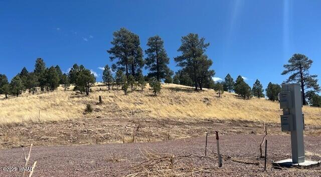 6 County Road 2331, Alpine, AZ 85920