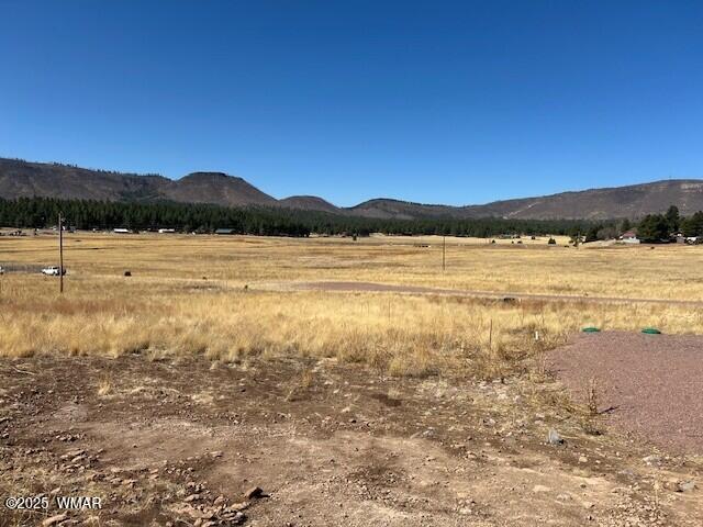 6 County Road 2331, Alpine, AZ 85920