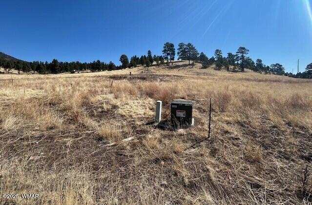 6 County Road 2331, Alpine, AZ 85920