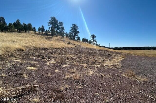 6 County Road 2331, Alpine, AZ 85920