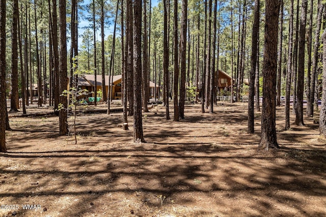 8510 Alchesay Dr, Pinetop, AZ 85935 - photo 11