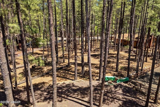 8510 Alchesay Dr, Pinetop, AZ 85935 - photo 13