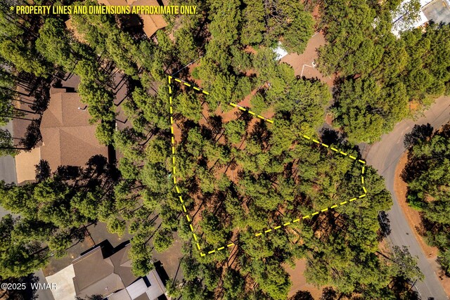 8510 Alchesay Dr, Pinetop, AZ 85935 - photo 17