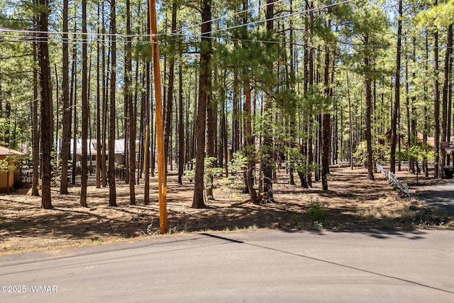 8510 Alchesay Dr, Pinetop, AZ 85935 - photo 12