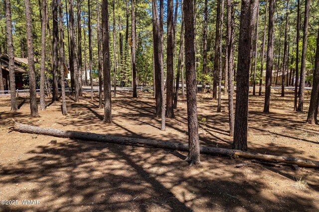 8510 Alchesay Dr, Pinetop, AZ 85935 - photo 15