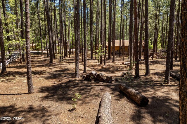 8510 Alchesay Dr, Pinetop, AZ 85935 - photo 14