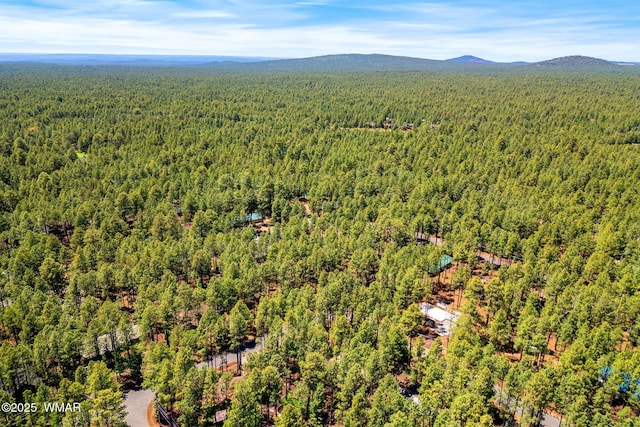 8510 Alchesay Dr, Pinetop, AZ 85935 - photo 8