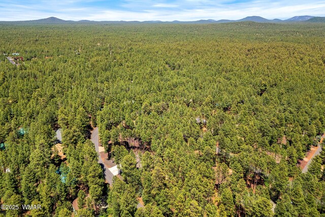 8510 Alchesay Dr, Pinetop, AZ 85935 - photo 4