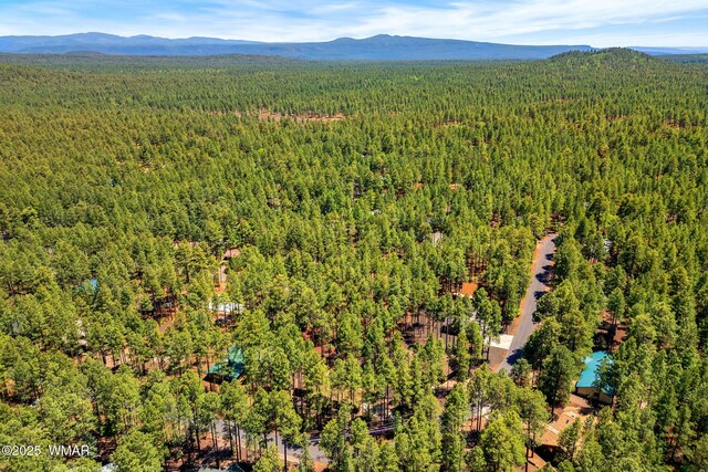 8510 Alchesay Dr, Pinetop, AZ 85935 - photo 6
