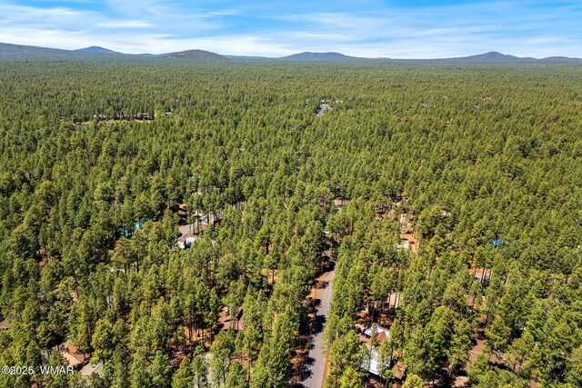 8510 Alchesay Dr, Pinetop, AZ 85935 - photo 9