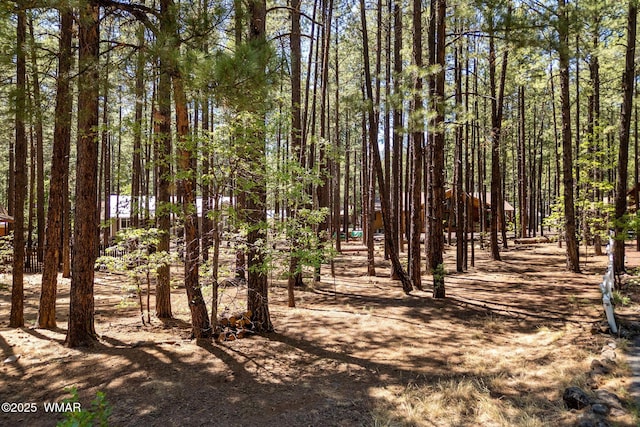 8510 Alchesay Dr, Pinetop, AZ 85935 - photo 1