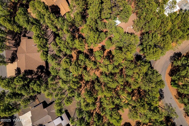 8510 Alchesay Dr, Pinetop, AZ 85935 - photo 3