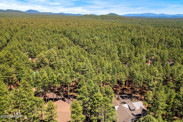 8510 Alchesay Dr, Pinetop, AZ 85935 - photo 10
