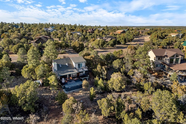 1513 Low Mountain Trl, Heber, AZ 85928 - drone / aerial view