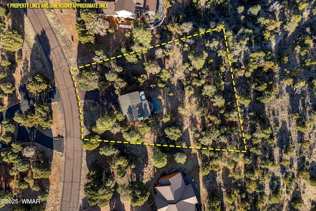 1513 Low Mountain Trl, Heber, AZ 85928 - drone / aerial view