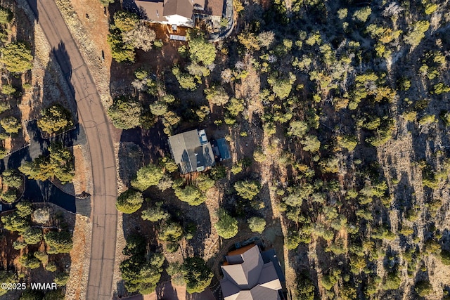 1513 Low Mountain Trl, Heber, AZ 85928 - drone / aerial view