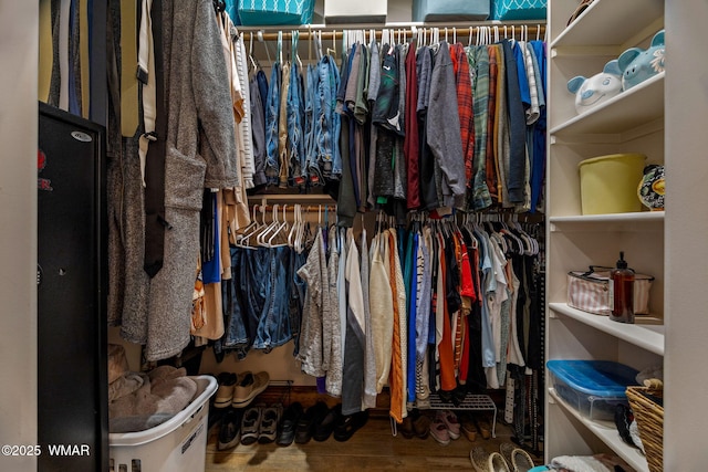 2737 Skyhawk Dr, Overgaard, AZ 85933 - walk in closet with wood finished floors