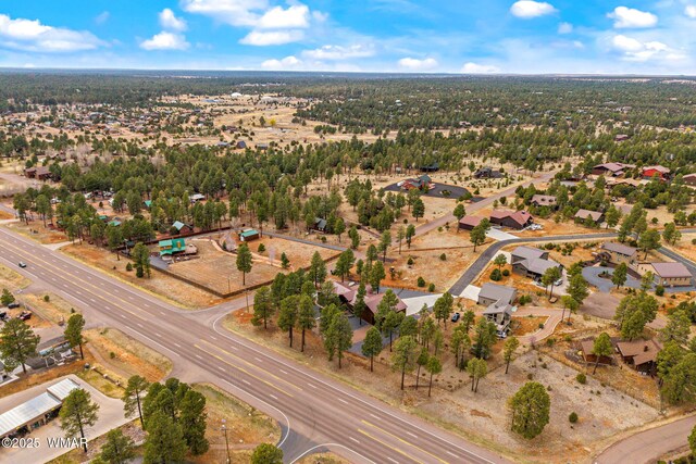 2737 Skyhawk Dr, Overgaard, AZ 85933 - birds eye view of property