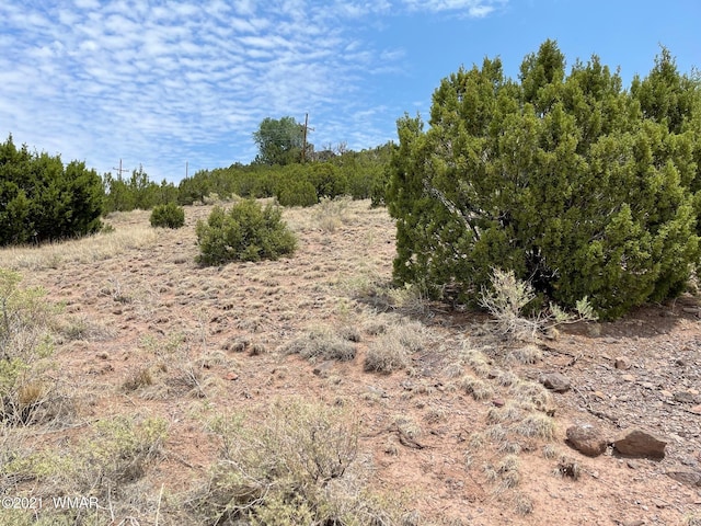 TBD Udall St, Eagar AZ, 85925 land for sale