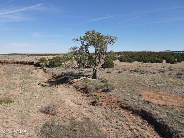 TBD Falcon Dr, Taylor AZ, 85939 land for sale