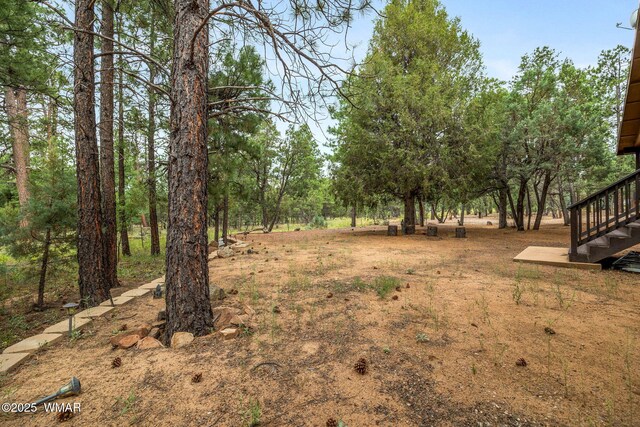 4602 Mountain Gate Cir, Lakeside, AZ 85929 - view of yard