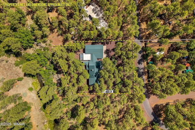 328 W Billy Creek Dr, Lakeside, AZ 85929 - photo 5