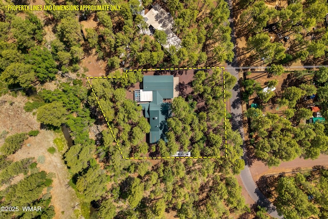 328 W Billy Creek Dr, Lakeside, AZ 85929 - photo 33