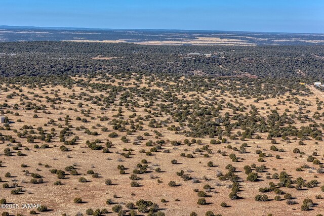 TBD Shumway Rd, Shumway, AZ 85901 - photo 15