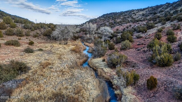 TBD Shumway Rd, Shumway, AZ 85901 - photo 21