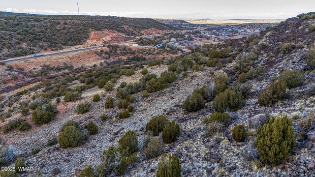 TBD Shumway Rd, Shumway, AZ 85901 - photo 19