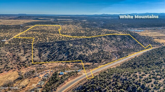 TBD Shumway Rd, Shumway, AZ 85901 - photo 2