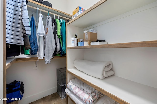 2051 N Bison Pass Ct, Show Low, AZ 85901 - walk in closet featuring wood finished floors