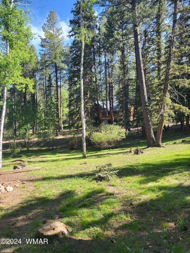 6 County Road 1007 Unit 6, Greer, AZ 85927 - photo 16