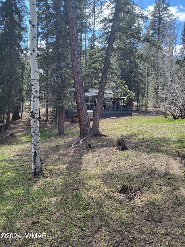 view of yard featuring a deck