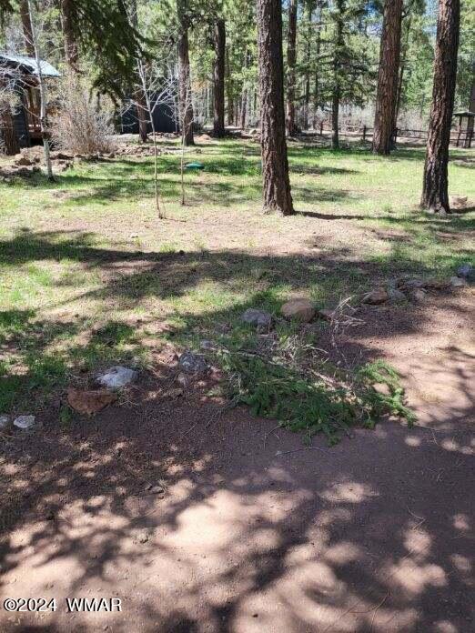 6 County Road 1007 Unit 6, Greer, AZ 85927 - photo 17