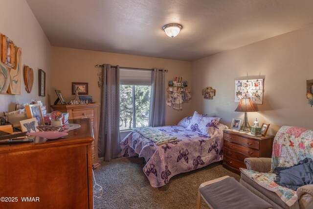 7431 N Gemini Ln, Lakeside, AZ 85929 - view of carpeted bedroom