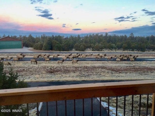 2335 Voyager Cir, Overgaard, AZ 85933 - yard at dusk with a view of rural / pastoral area
