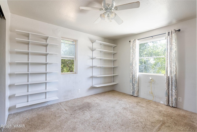 561 N 5th Dr, Show Low, AZ 85901 - photo 20