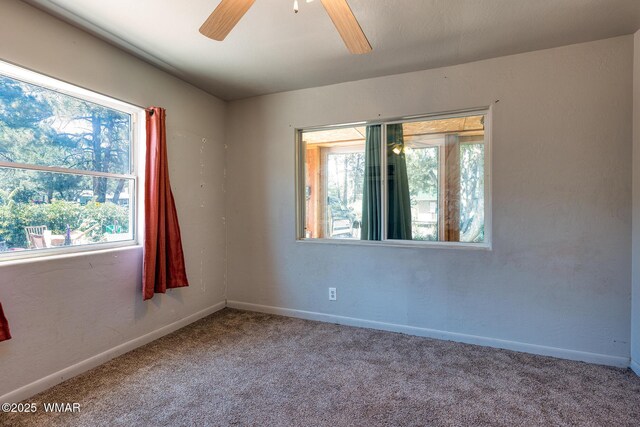 561 N 5th Dr, Show Low, AZ 85901 - photo 24