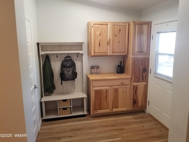 mudroom with light wood-style flooring