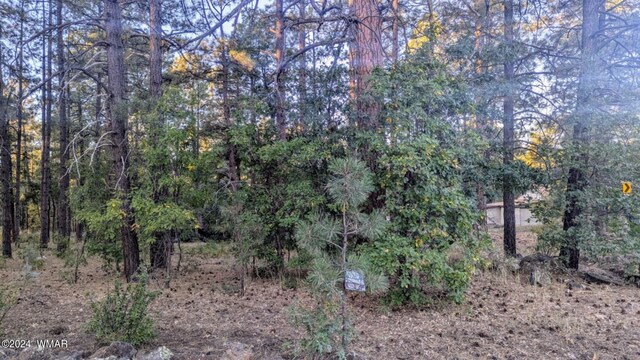 219 Yeager Ln, Lakeside, AZ 85929 - view of nature