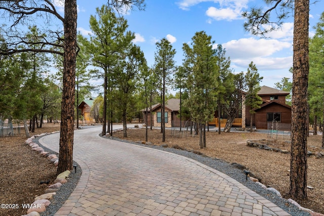 view of community with decorative driveway