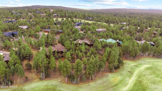 bird's eye view with a view of trees