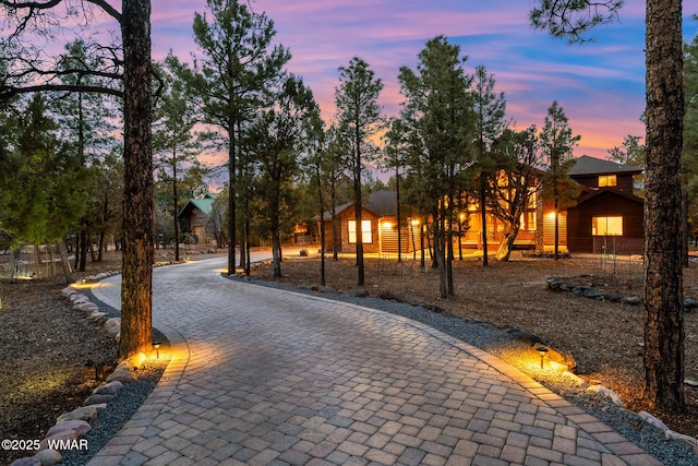 surrounding community featuring decorative driveway