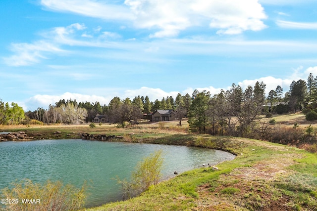 1380 Lakeside Trl, Show Low, AZ 85901 - water view