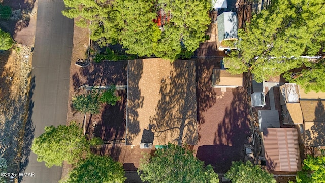 2681 W Reidhead, Show Low, AZ 85901 - aerial view of property's location