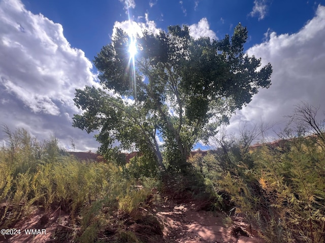 9481 Garden Home Trl, Snowflake, AZ 85937