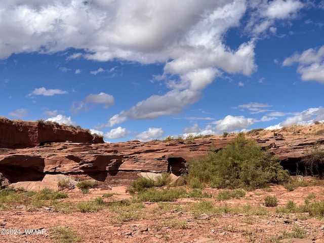 9481 Garden Home Trl, Snowflake, AZ 85937