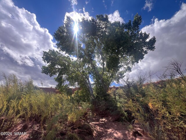 9481 Garden Home Trl, Snowflake, AZ 85937